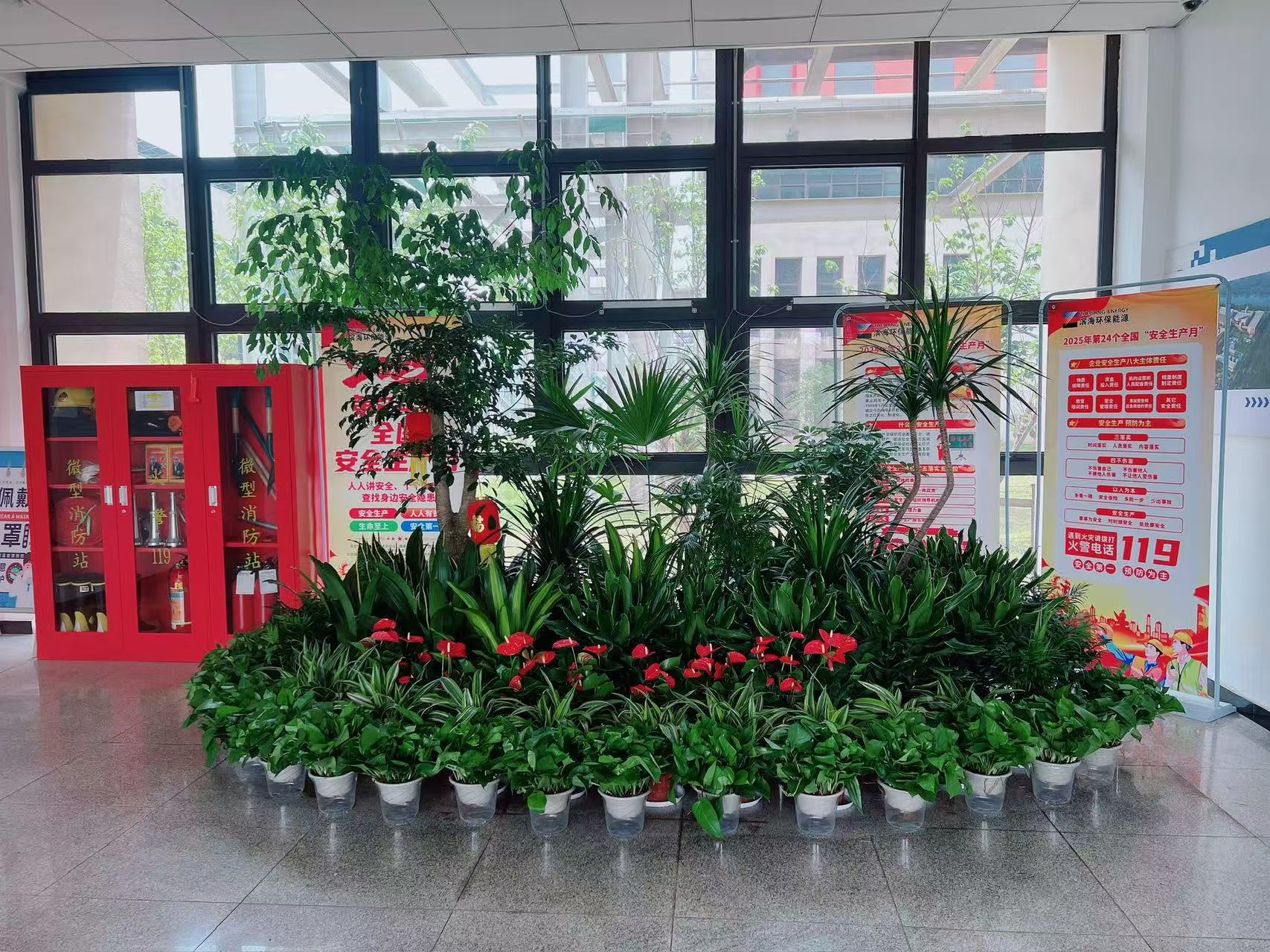 江北盆景出租哪家靠谱？这家口碑爆棚超靠谱！